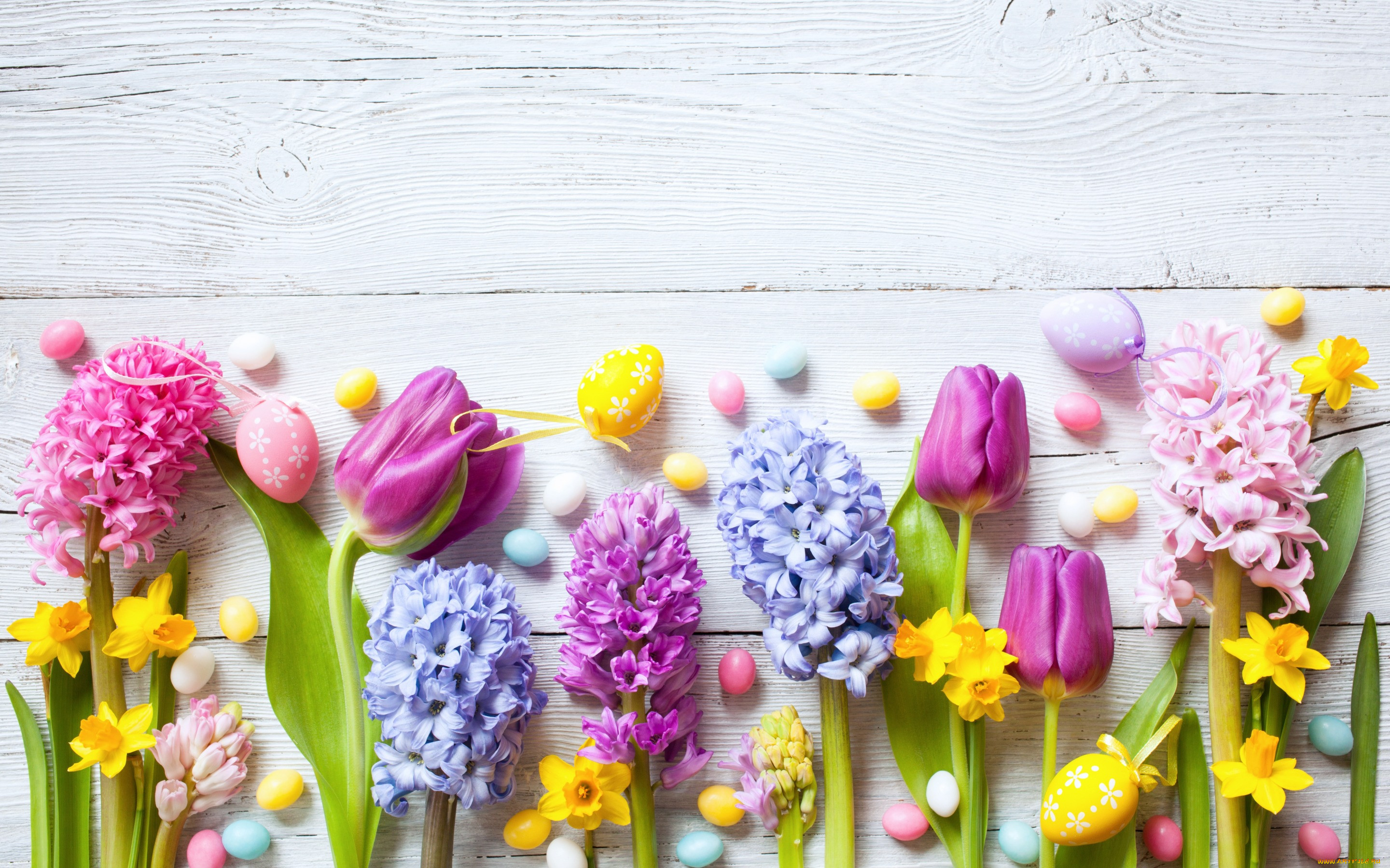 , , , flowers, , , narcissus, candy, , wood, easter, , , , eggs